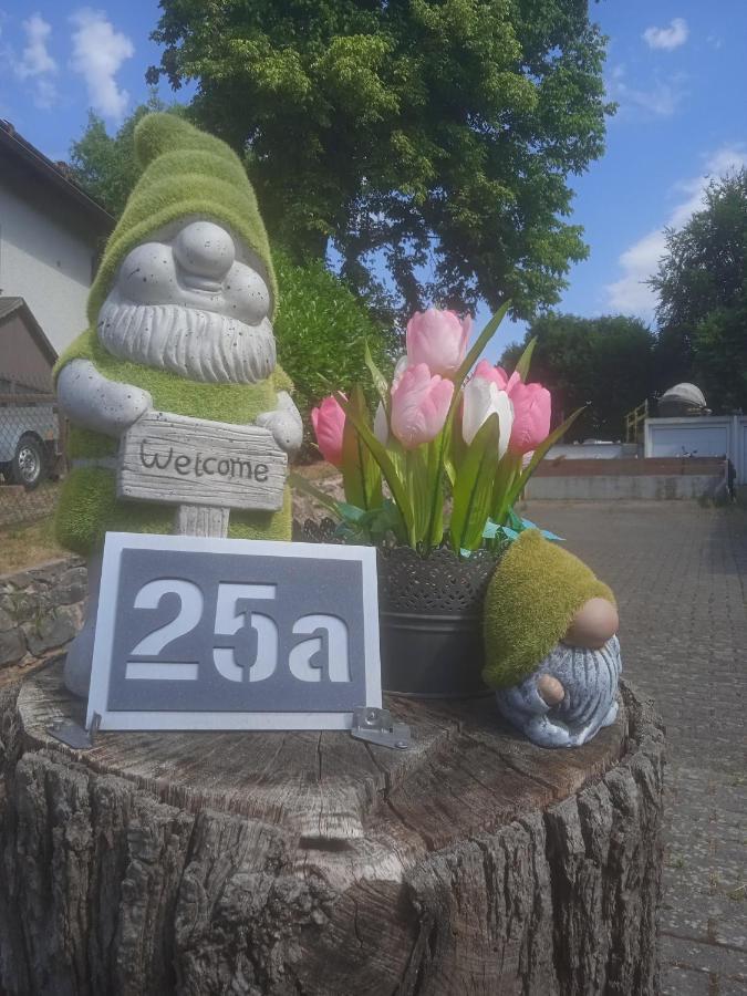 Casa Vogelsberg Daire Schotten Dış mekan fotoğraf